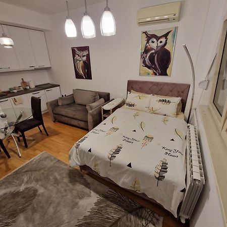 Owl Apartment Bělehrad Exteriér fotografie